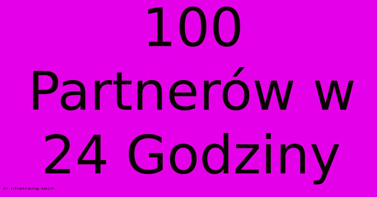 100 Partnerów W 24 Godziny 100 Partnerów W 24 Godziny