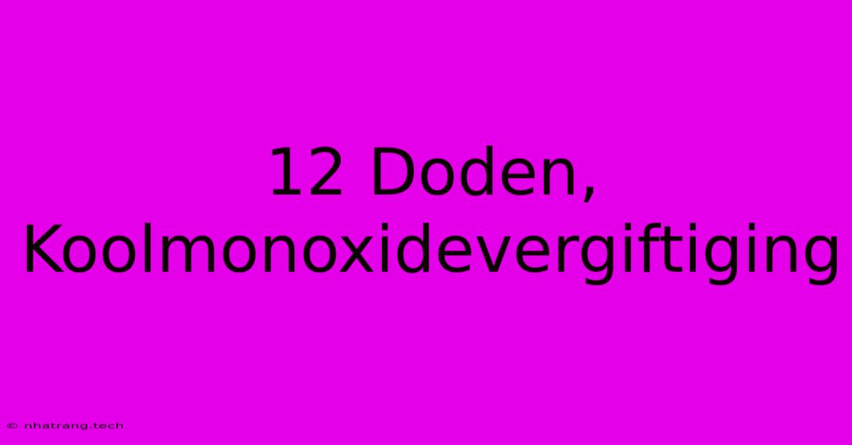12 Doden, Koolmonoxidevergiftiging 12 Doden, Koolmonoxidevergiftiging