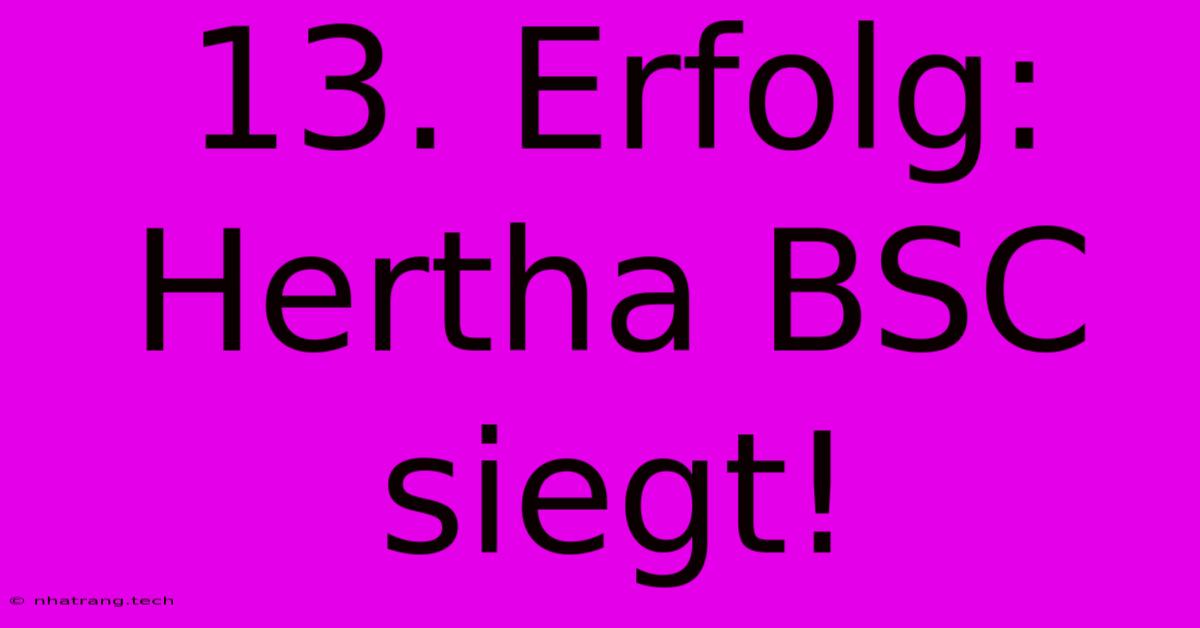 13. Erfolg: Hertha BSC Siegt! 13. Erfolg: Hertha BSC Siegt!
