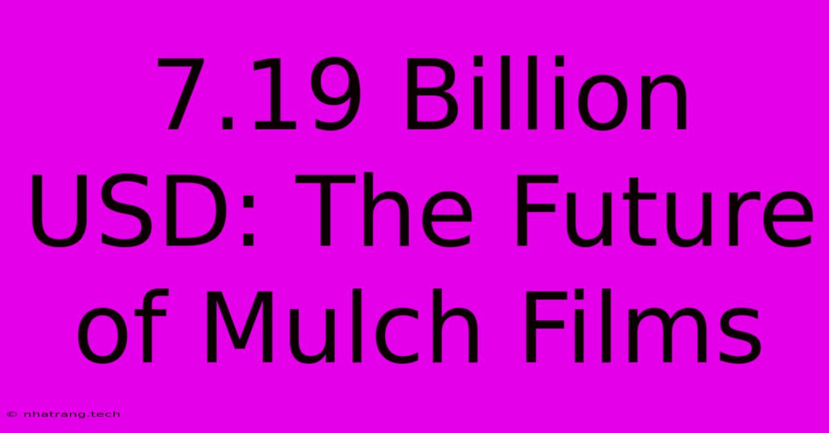 7.19 Billion USD: The Future Of Mulch Films 7.19 Billion USD: The Future Of Mulch Films