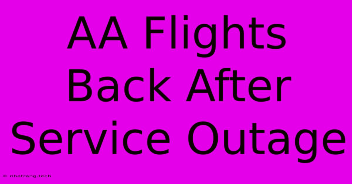 AA Flights Back After Service Outage