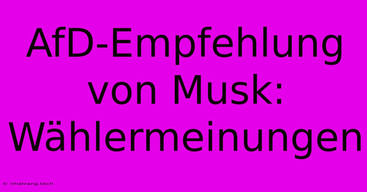 AfD-Empfehlung Von Musk: Wählermeinungen AfD-Empfehlung Von Musk: Wählermeinungen