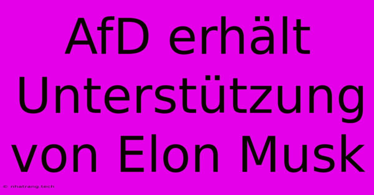 AfD Erhält Unterstützung Von Elon Musk AfD Erhält Unterstützung Von Elon Musk