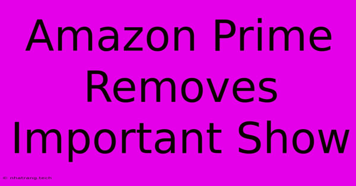 Amazon Prime Removes Important Show