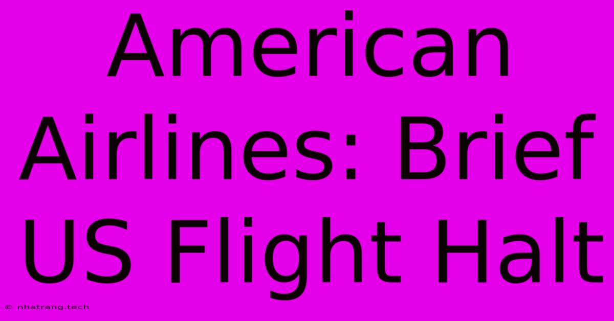 American Airlines: Brief US Flight Halt