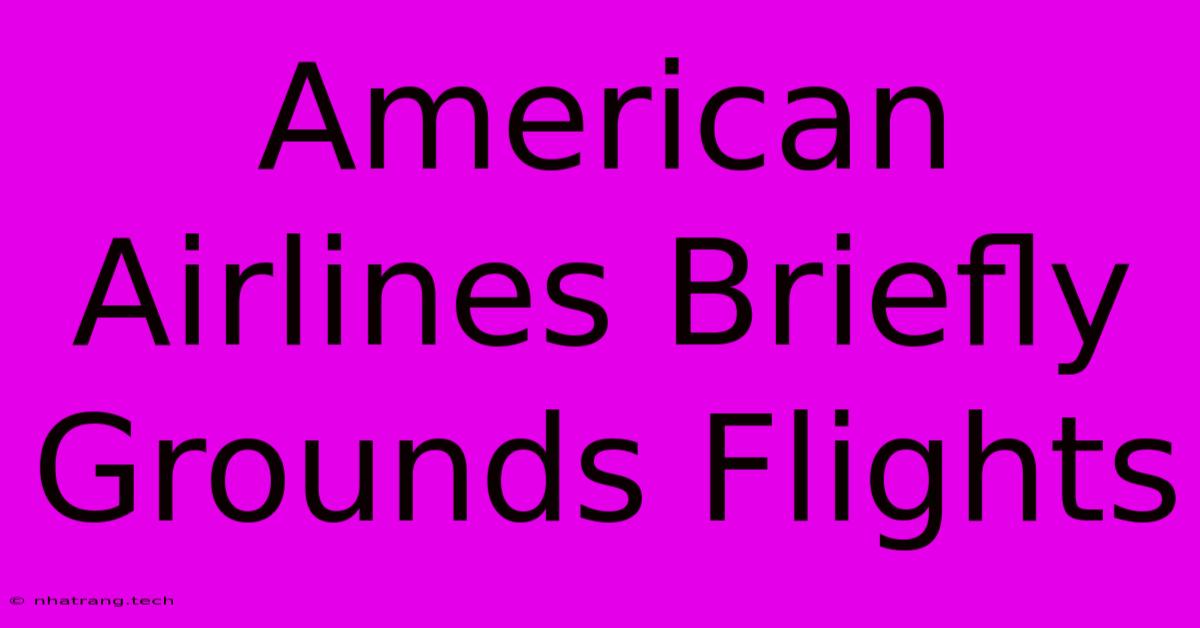 American Airlines Briefly Grounds Flights