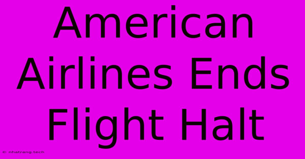 American Airlines Ends Flight Halt