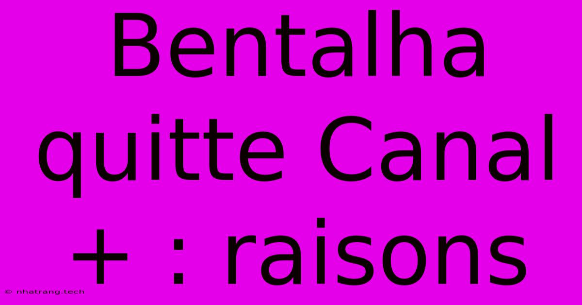 Bentalha Quitte Canal+ : Raisons Bentalha Quitte Canal+ : Raisons