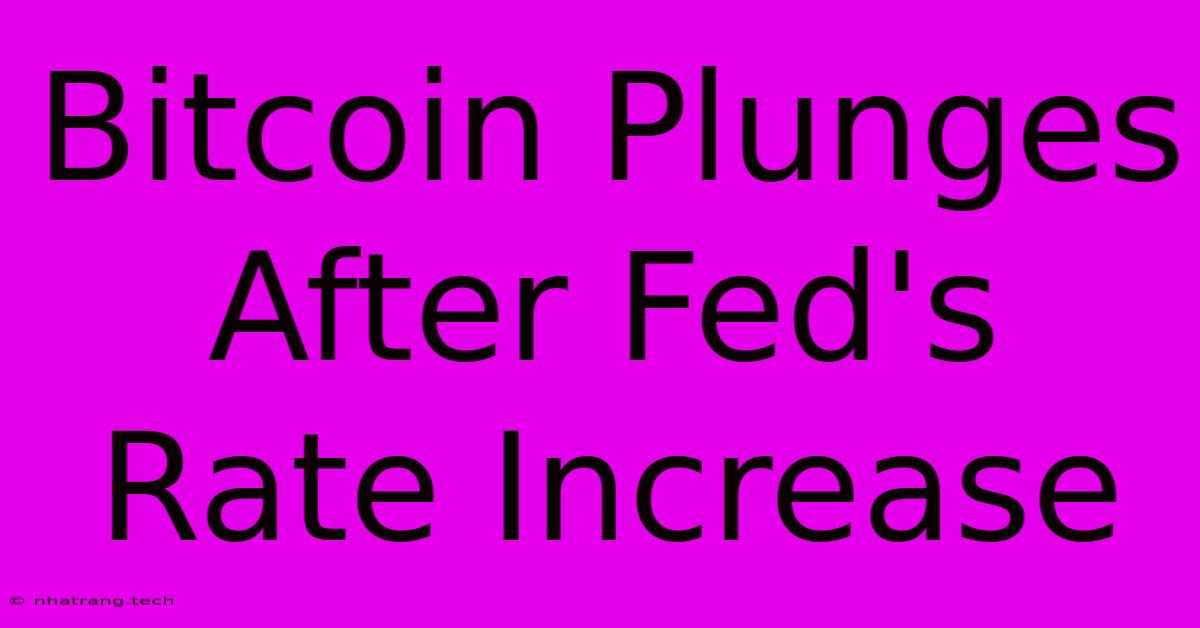 Bitcoin Plunges After Fed's Rate Increase Bitcoin Plunges After Fed's Rate Increase