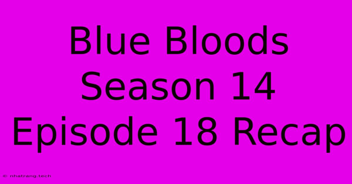Blue Bloods Season 14 Episode 18 Recap Blue Bloods Season 14 Episode 18 Recap