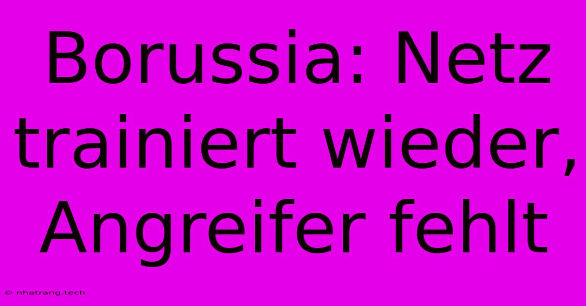Borussia: Netz Trainiert Wieder, Angreifer Fehlt Borussia: Netz Trainiert Wieder, Angreifer Fehlt