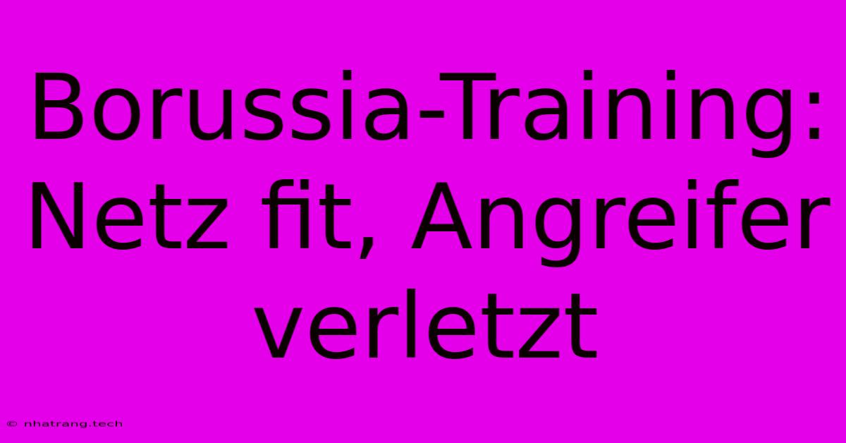Borussia-Training: Netz Fit, Angreifer Verletzt Borussia-Training: Netz Fit, Angreifer Verletzt