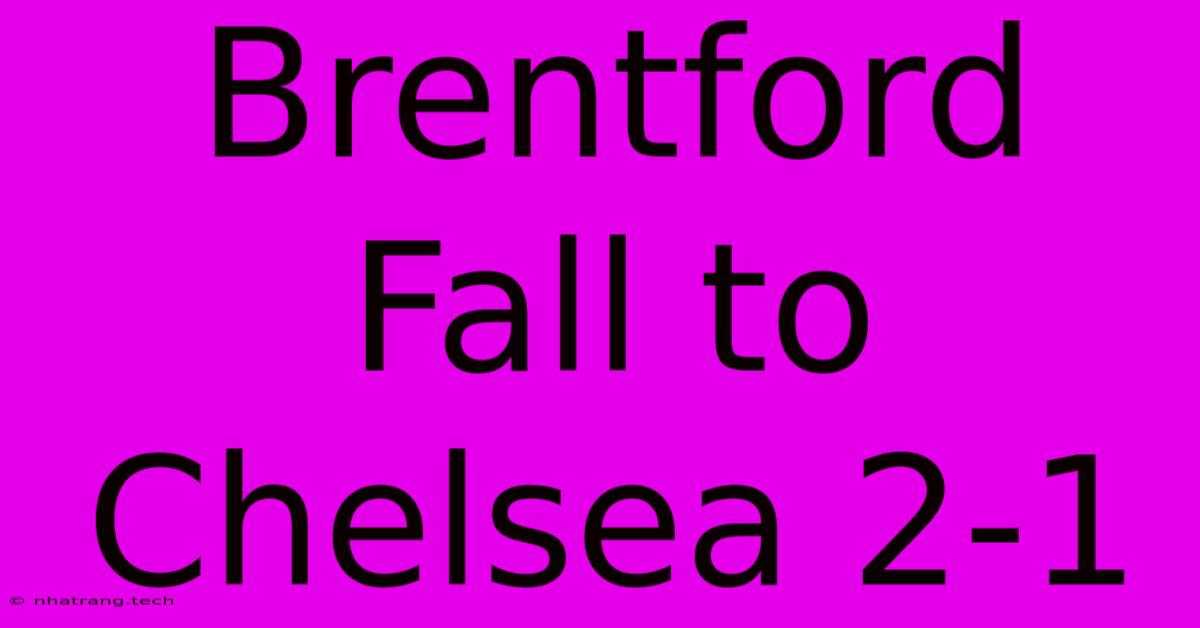Brentford Fall To Chelsea 2-1 Brentford Fall To Chelsea 2-1