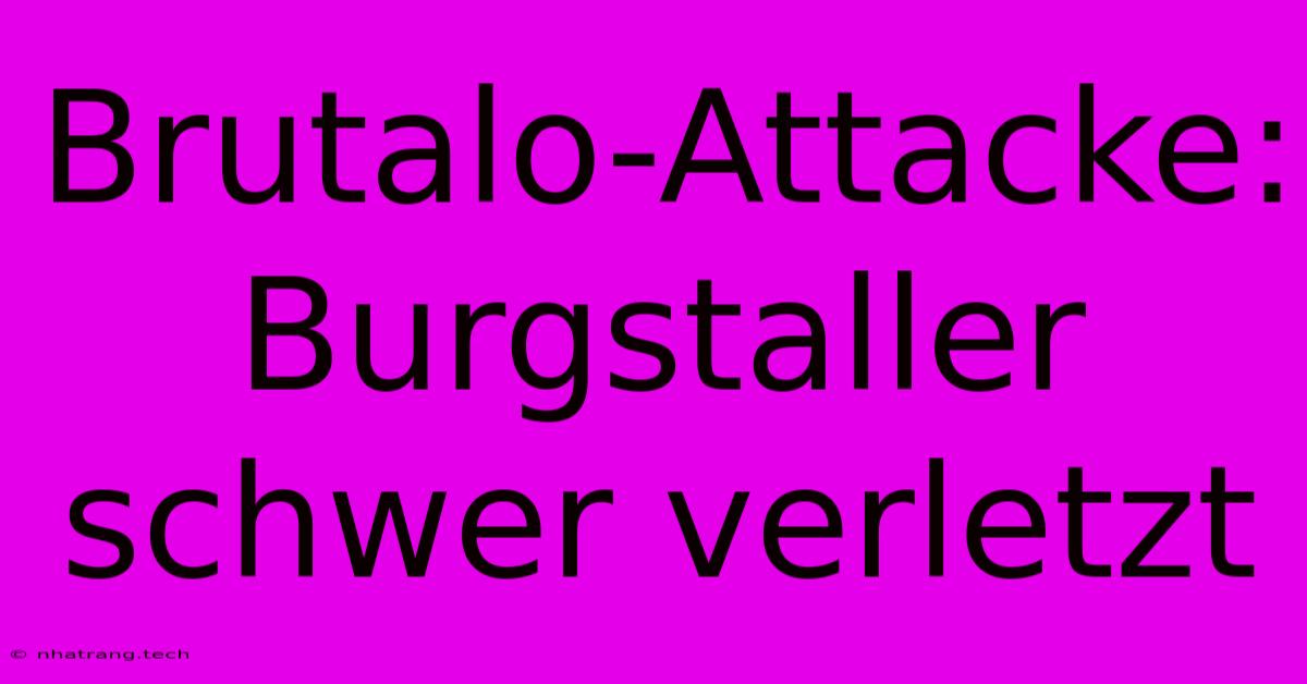 Brutalo-Attacke: Burgstaller Schwer Verletzt Brutalo-Attacke: Burgstaller Schwer Verletzt