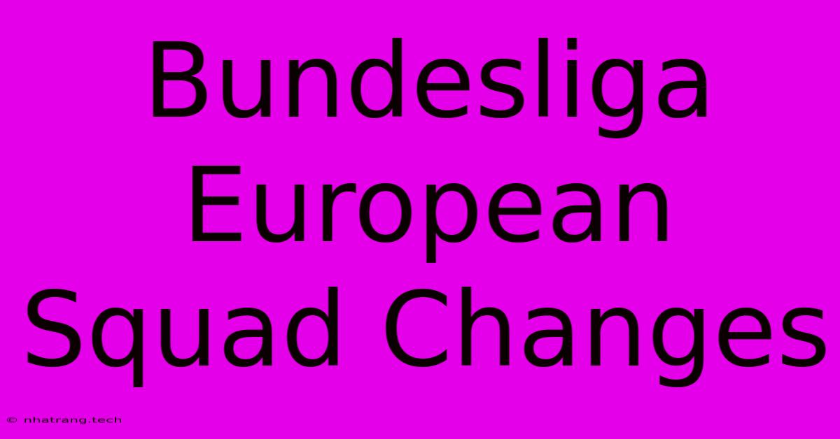Bundesliga European Squad Changes Bundesliga European Squad Changes