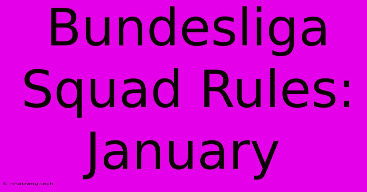 Bundesliga Squad Rules: January Bundesliga Squad Rules: January