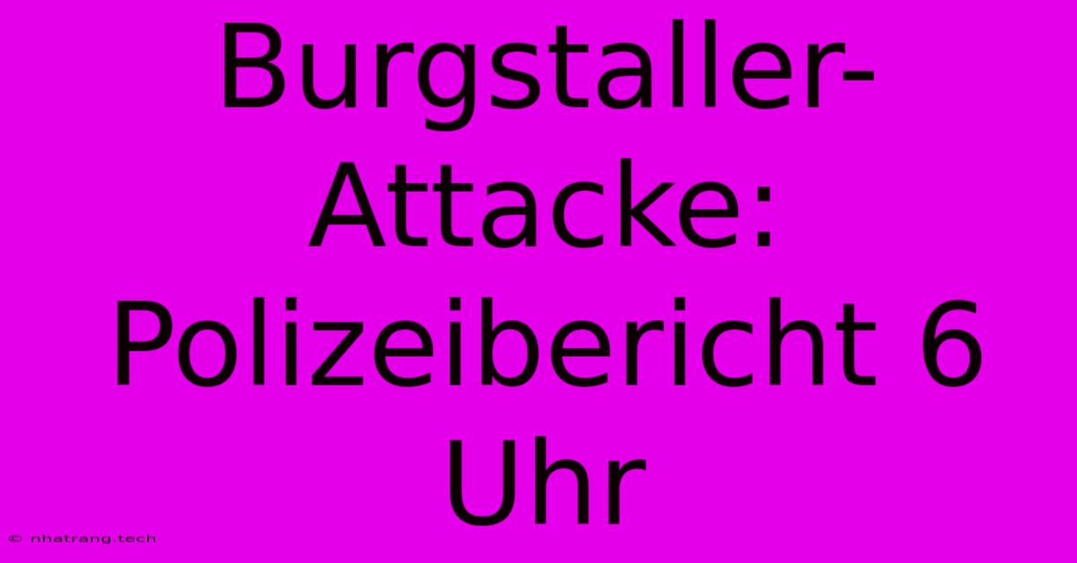 Burgstaller-Attacke: Polizeibericht 6 Uhr Burgstaller-Attacke: Polizeibericht 6 Uhr