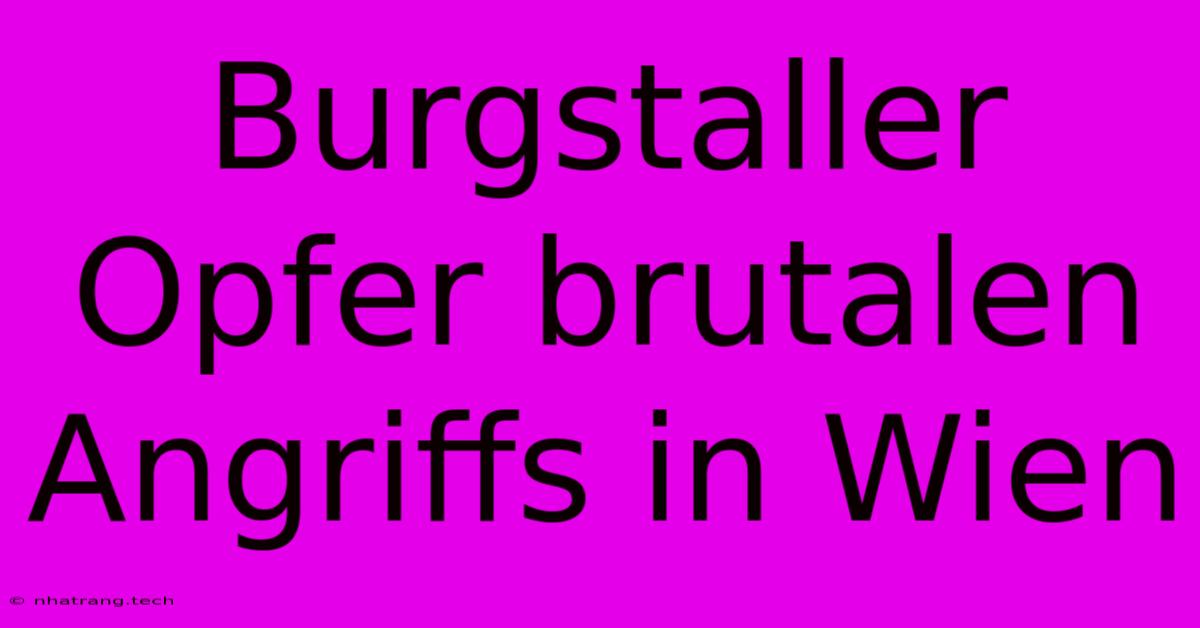 Burgstaller Opfer Brutalen Angriffs In Wien Burgstaller Opfer Brutalen Angriffs In Wien