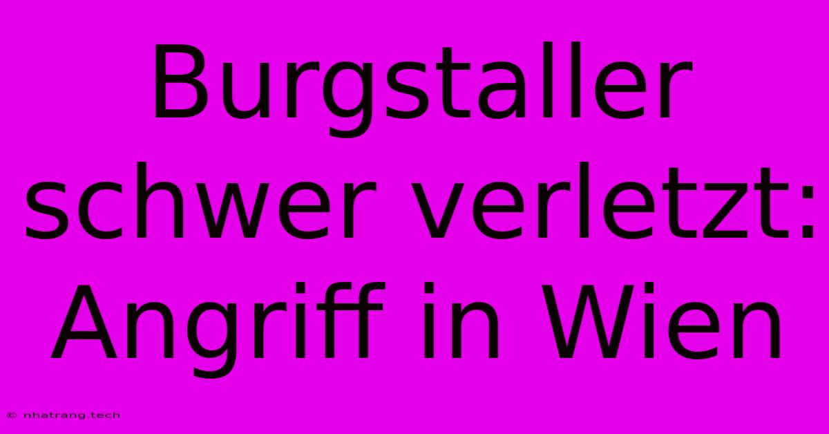 Burgstaller Schwer Verletzt: Angriff In Wien Burgstaller Schwer Verletzt: Angriff In Wien