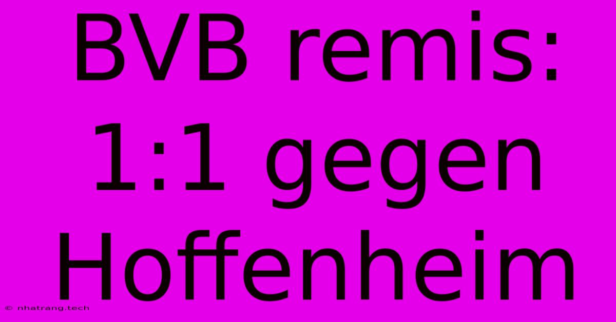 BVB Remis: 1:1 Gegen Hoffenheim BVB Remis: 1:1 Gegen Hoffenheim