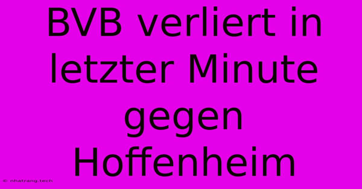 BVB Verliert In Letzter Minute Gegen Hoffenheim BVB Verliert In Letzter Minute Gegen Hoffenheim