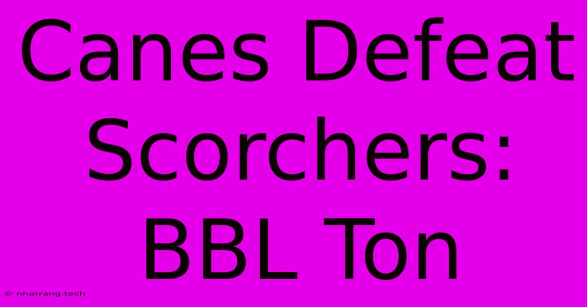 Canes Defeat Scorchers: BBL Ton Canes Defeat Scorchers: BBL Ton
