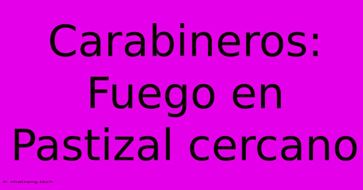 Carabineros: Fuego En Pastizal Cercano Carabineros: Fuego En Pastizal Cercano