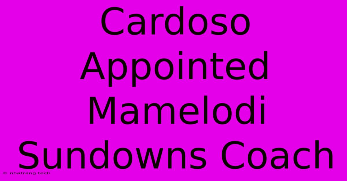 Cardoso Appointed Mamelodi Sundowns Coach Cardoso Appointed Mamelodi Sundowns Coach