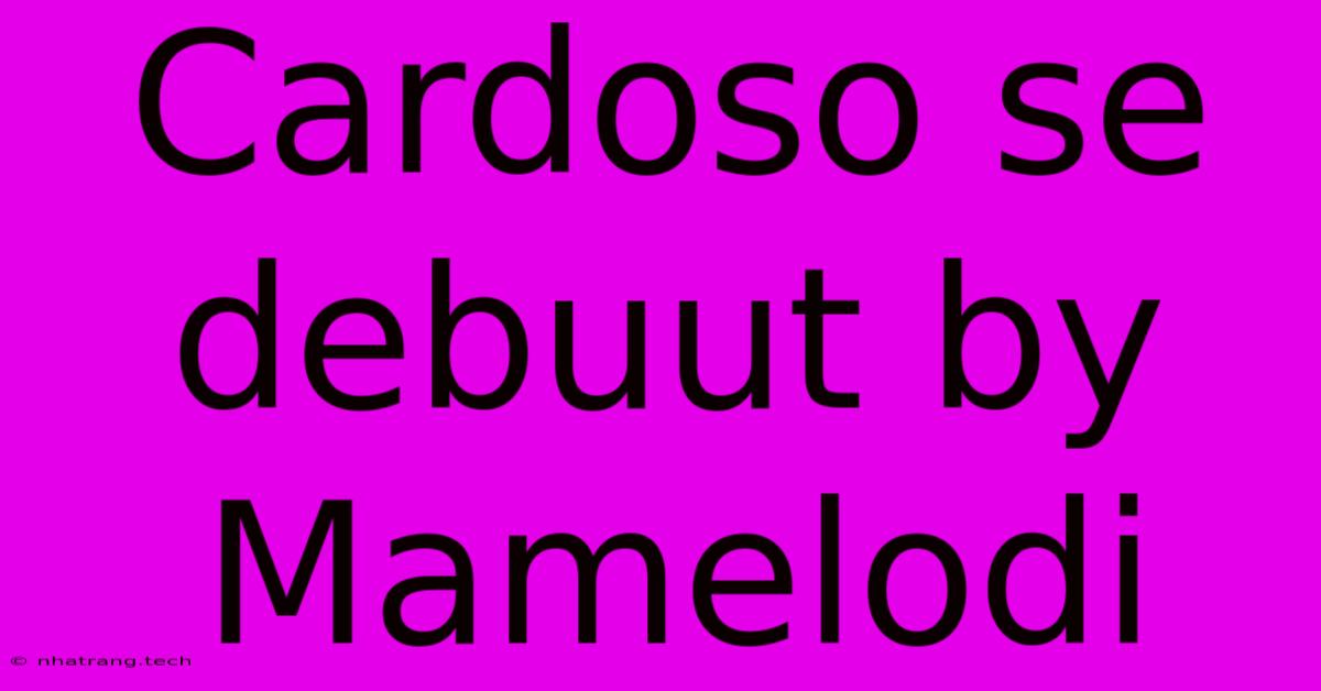 Cardoso Se Debuut By Mamelodi Cardoso Se Debuut By Mamelodi