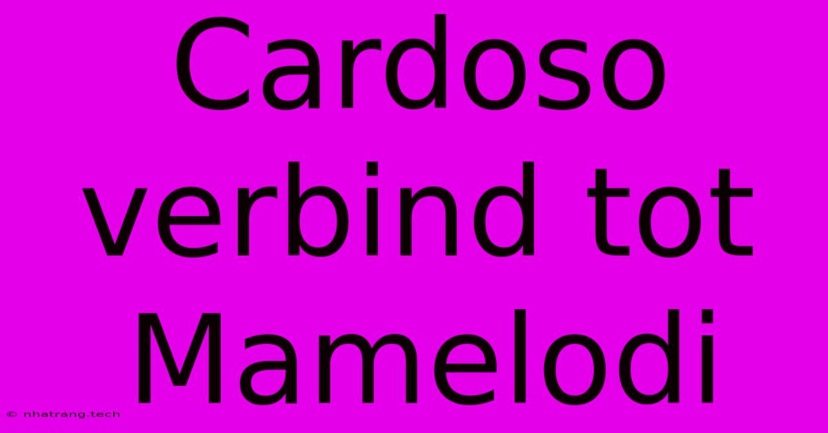 Cardoso Verbind Tot Mamelodi Cardoso Verbind Tot Mamelodi