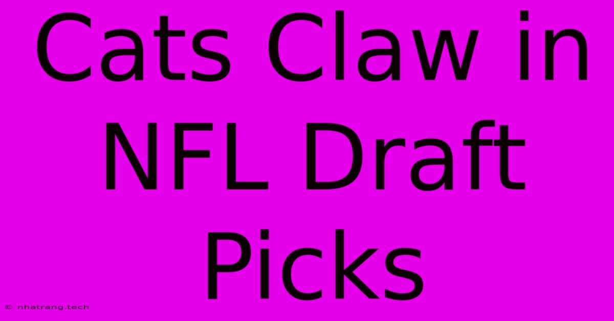 Cats Claw In NFL Draft Picks Cats Claw In NFL Draft Picks