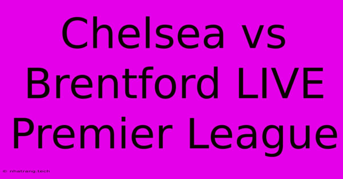 Chelsea Vs Brentford LIVE Premier League Chelsea Vs Brentford LIVE Premier League