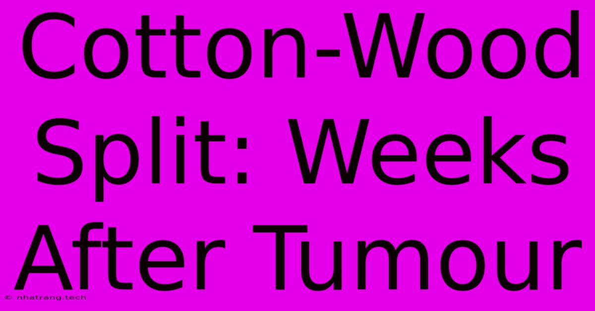 Cotton-Wood Split: Weeks After Tumour Cotton-Wood Split: Weeks After Tumour