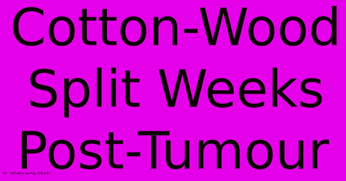 Cotton-Wood Split Weeks Post-Tumour Cotton-Wood Split Weeks Post-Tumour