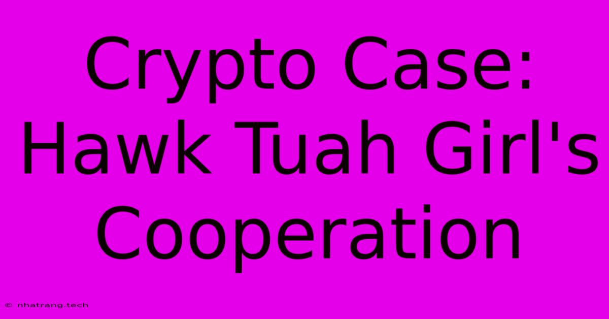 Crypto Case: Hawk Tuah Girl's Cooperation Crypto Case: Hawk Tuah Girl's Cooperation