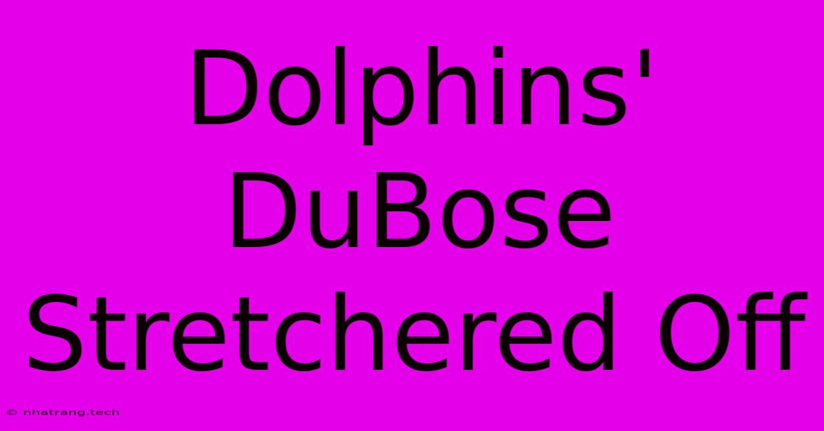 Dolphins' DuBose Stretchered Off Dolphins' DuBose Stretchered Off