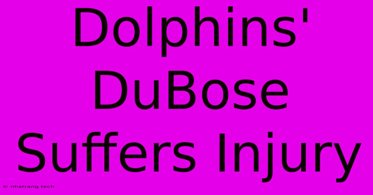 Dolphins' DuBose Suffers Injury Dolphins' DuBose Suffers Injury