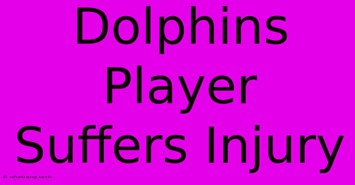 Dolphins Player Suffers Injury Dolphins Player Suffers Injury