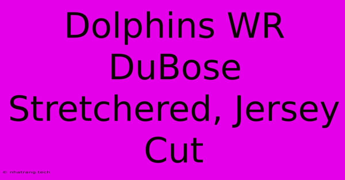 Dolphins WR DuBose Stretchered, Jersey Cut Dolphins WR DuBose Stretchered, Jersey Cut