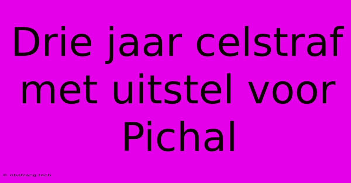 Drie Jaar Celstraf Met Uitstel Voor Pichal Drie Jaar Celstraf Met Uitstel Voor Pichal
