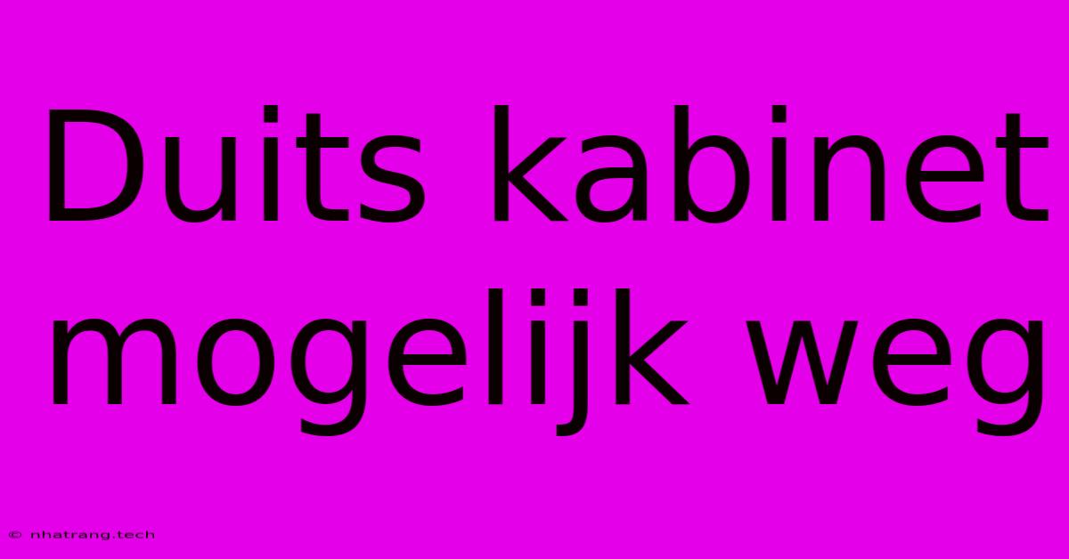 Duits Kabinet Mogelijk Weg Duits Kabinet Mogelijk Weg