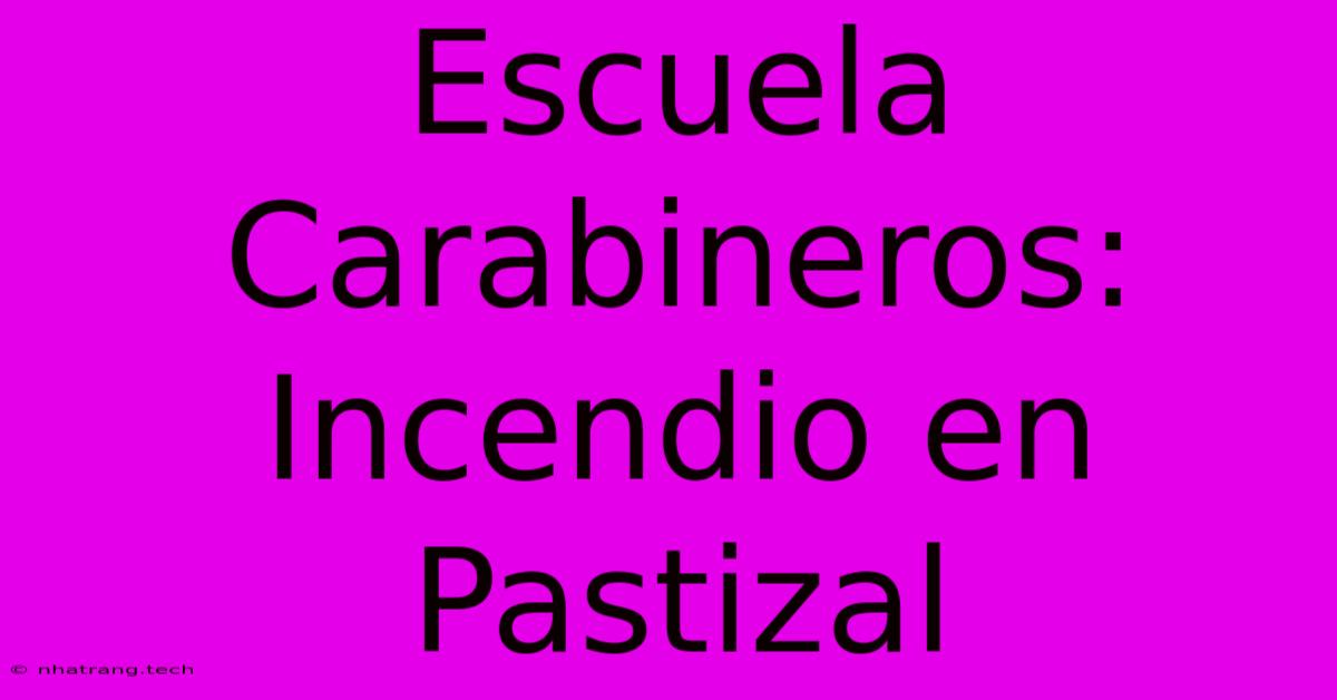 Escuela Carabineros: Incendio En Pastizal Escuela Carabineros: Incendio En Pastizal