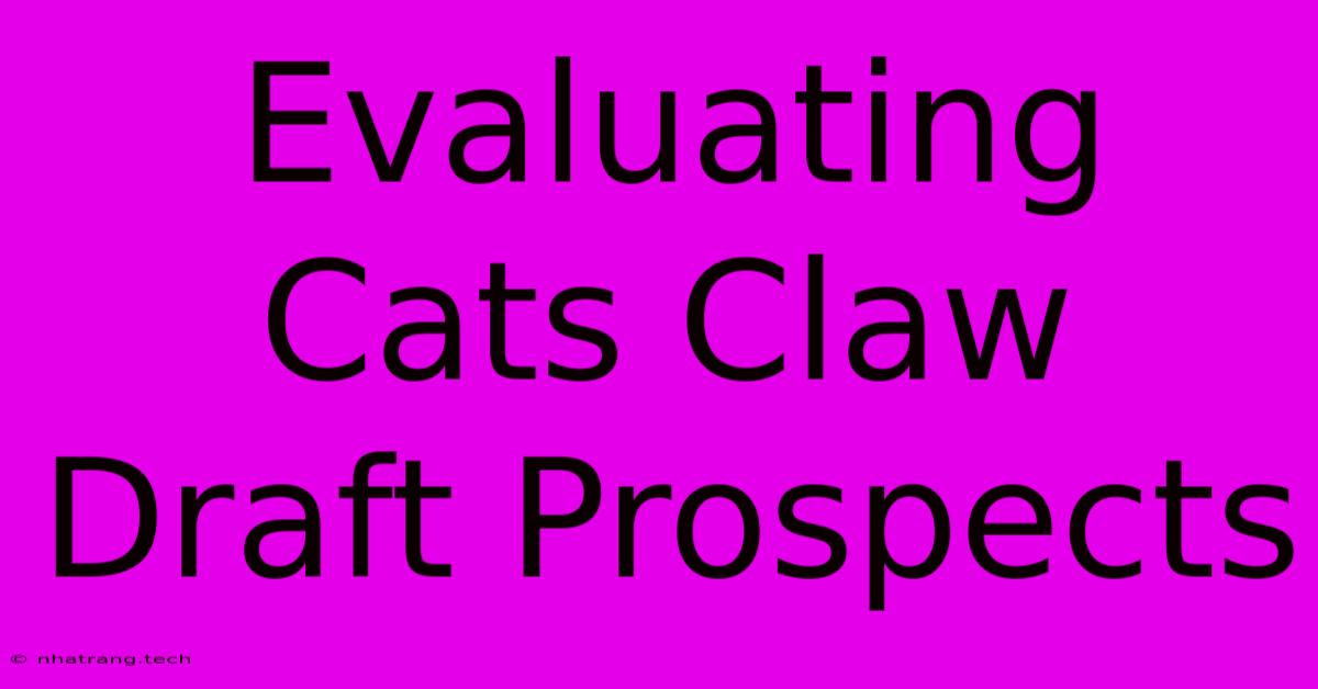 Evaluating Cats Claw Draft Prospects Evaluating Cats Claw Draft Prospects