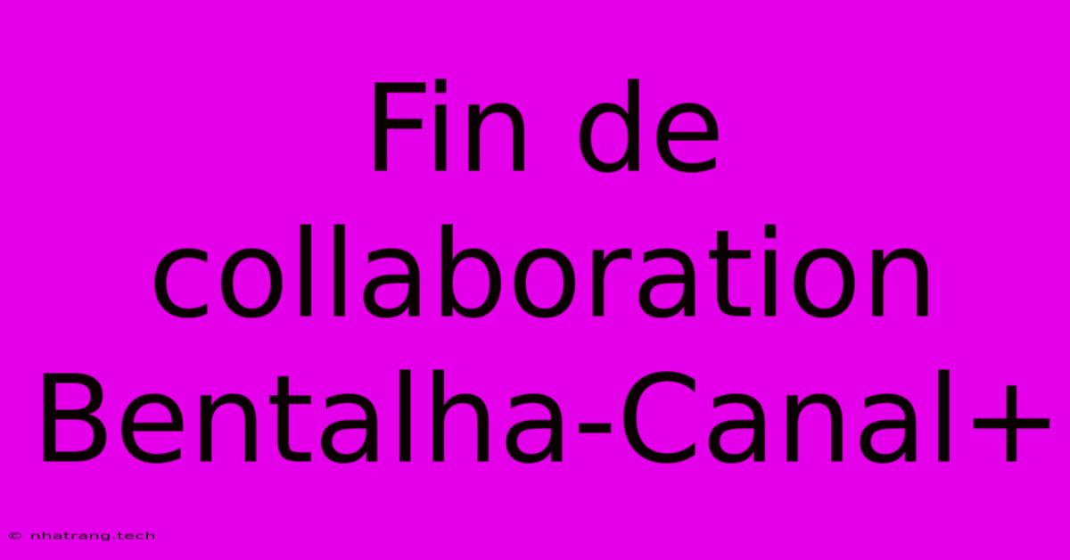 Fin De Collaboration Bentalha-Canal+ Fin De Collaboration Bentalha-Canal+