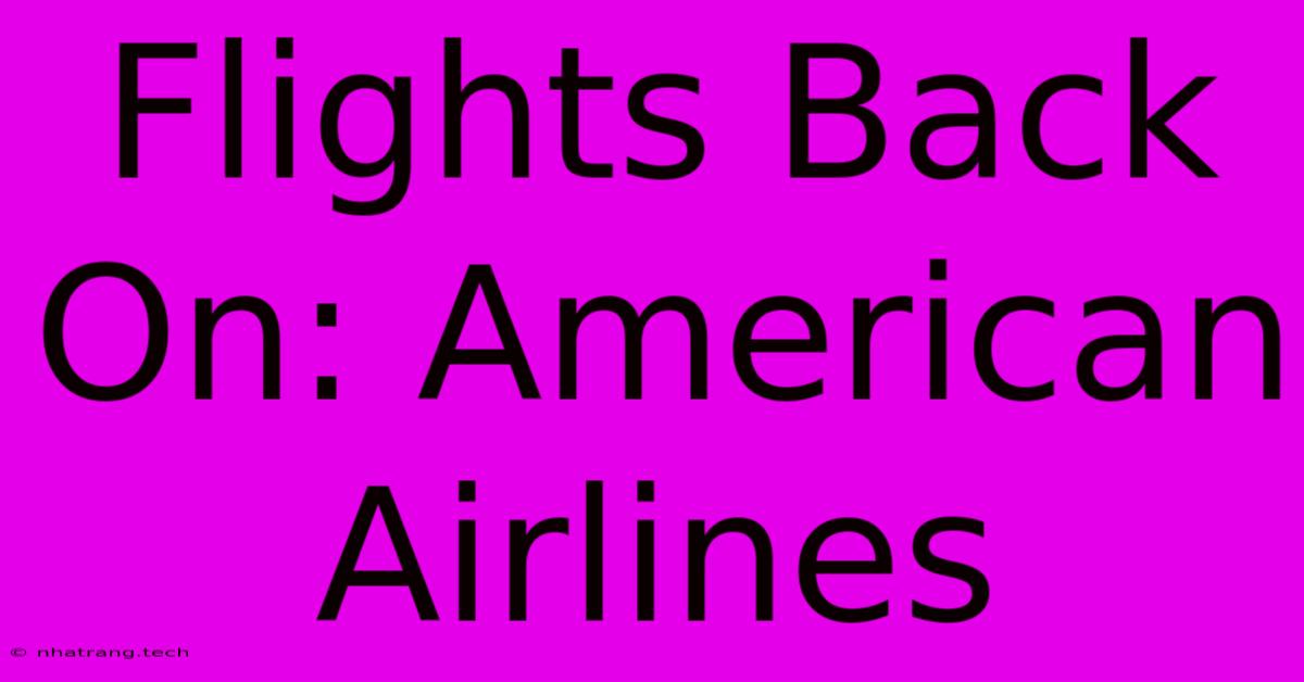 Flights Back On: American Airlines