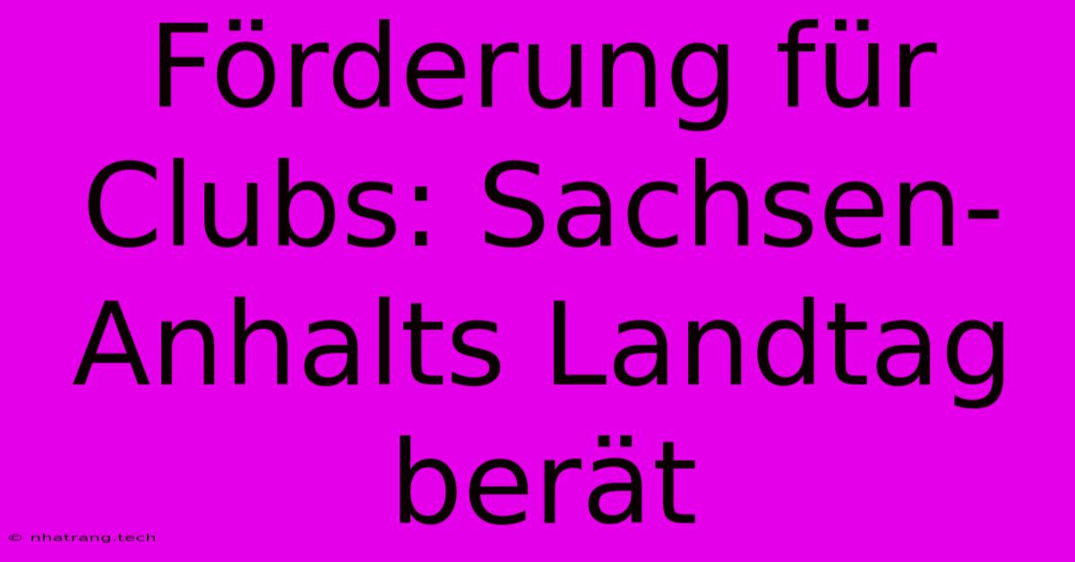 Förderung Für Clubs: Sachsen-Anhalts Landtag Berät Förderung Für Clubs: Sachsen-Anhalts Landtag Berät