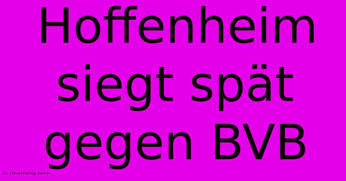Hoffenheim Siegt Spät Gegen BVB Hoffenheim Siegt Spät Gegen BVB