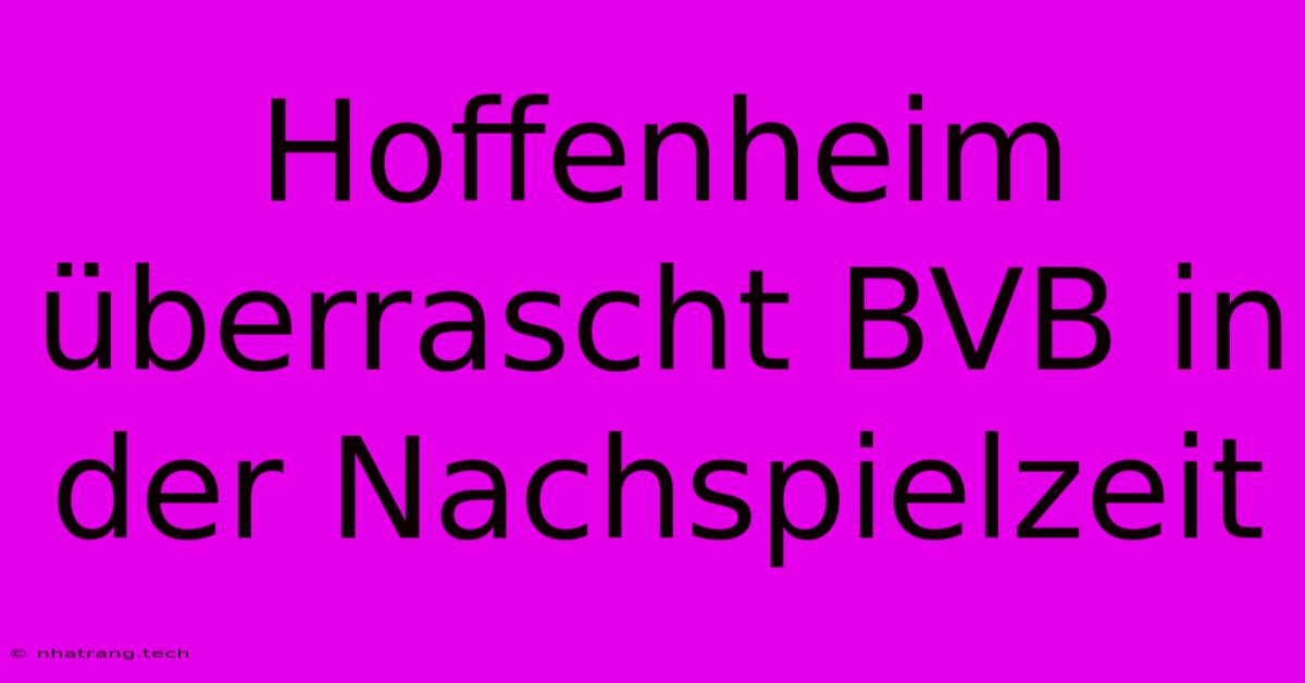 Hoffenheim Überrascht BVB In Der Nachspielzeit Hoffenheim Überrascht BVB In Der Nachspielzeit