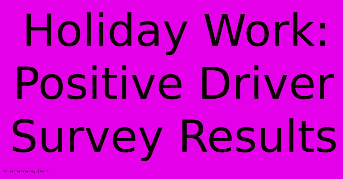 Holiday Work: Positive Driver Survey Results Holiday Work: Positive Driver Survey Results