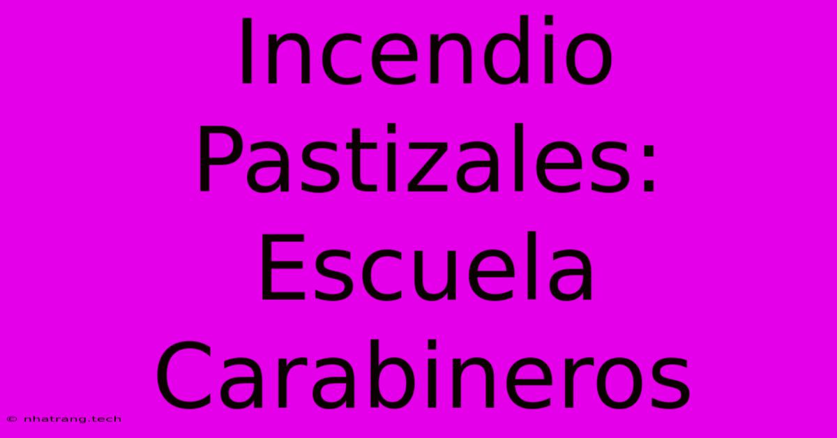 Incendio Pastizales: Escuela Carabineros Incendio Pastizales: Escuela Carabineros